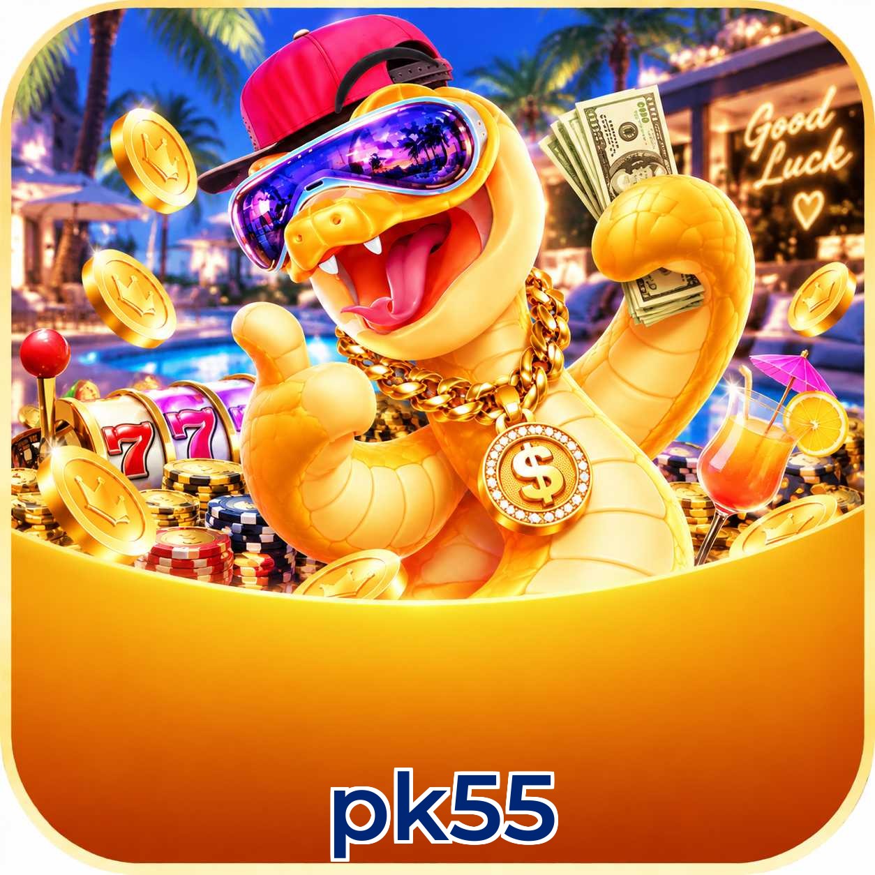 pk55 App vs Web